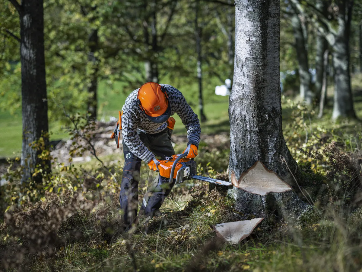 HUSQVARNA 450S - skats 3