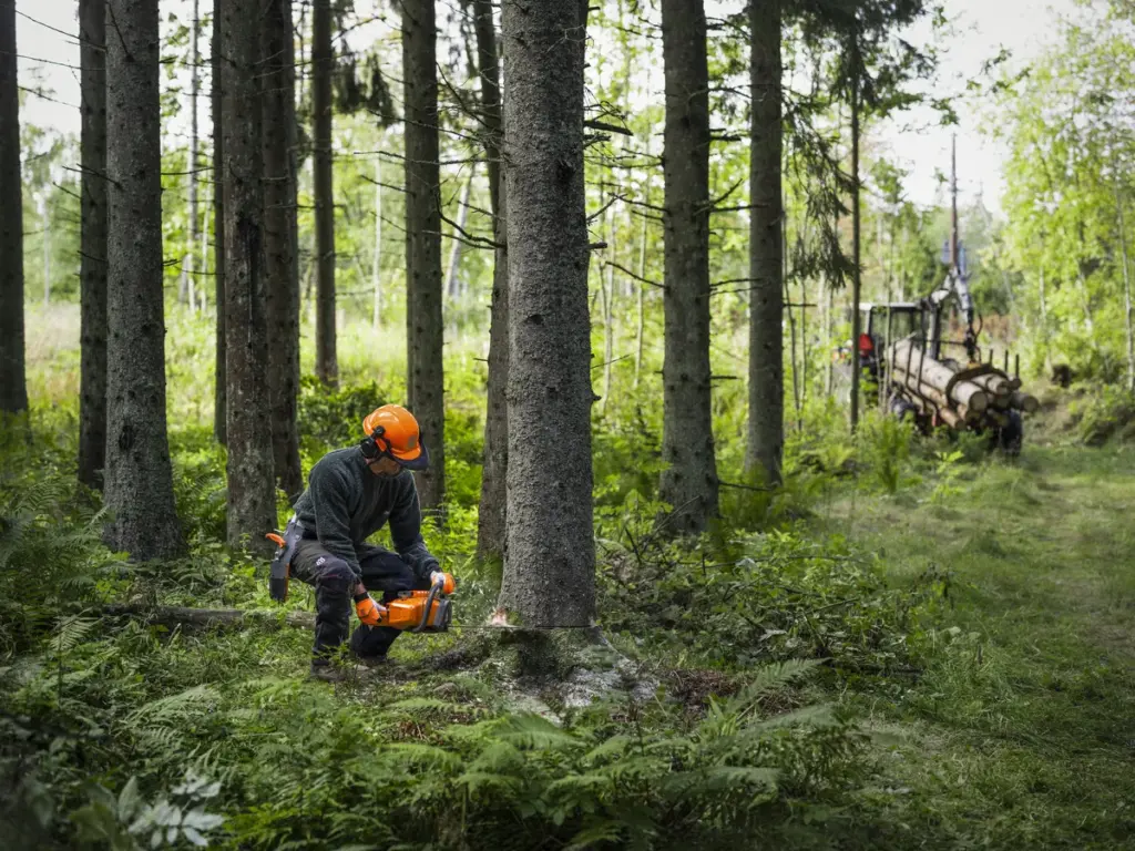 HUSQVARNA 450X - skats 2