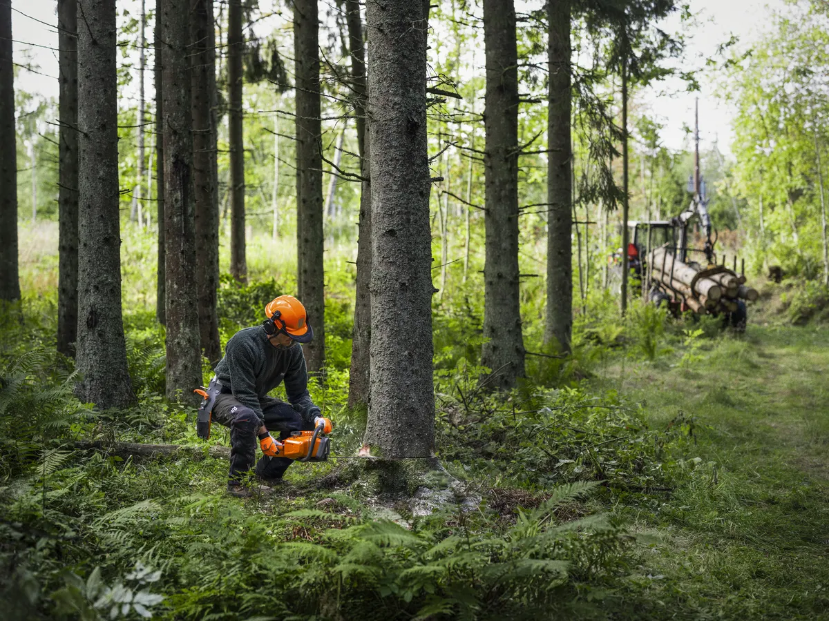 HUSQVARNA 450X - skats 2
