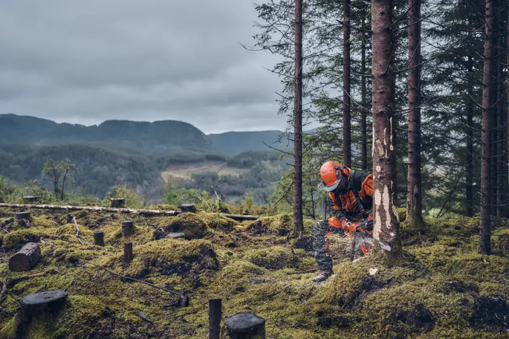HUSQVARNA 540 XP® Mark III - skats 2