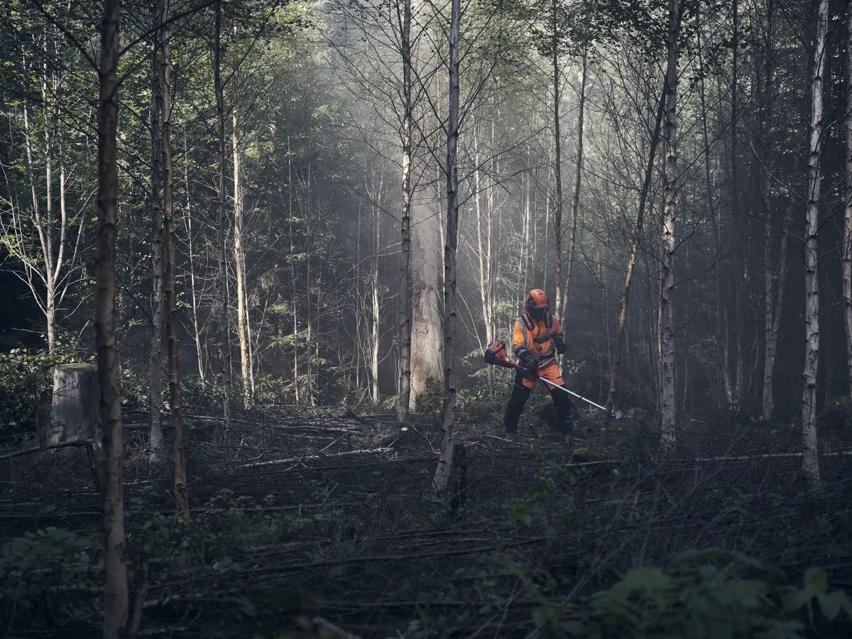 HUSQVARNA 545FXT Autotune - skats 2