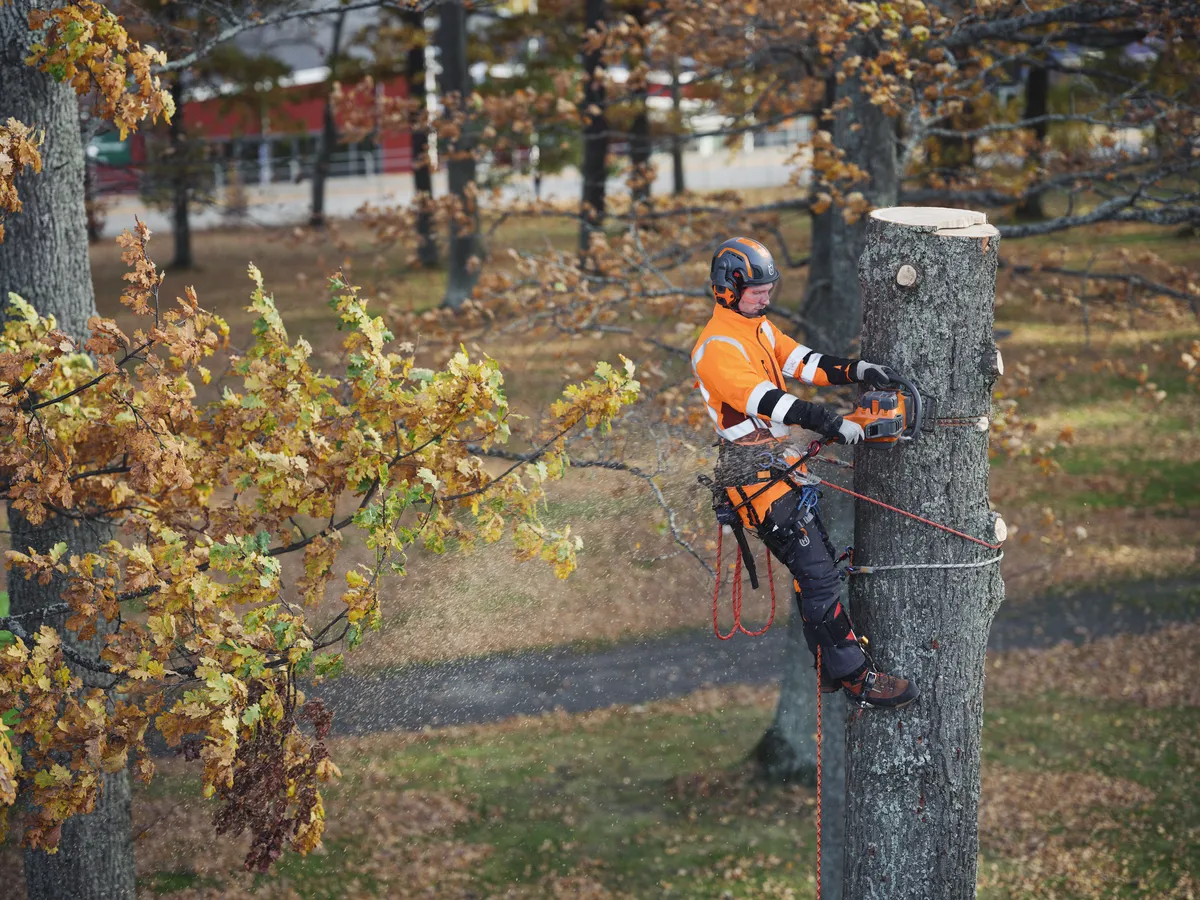 HUSQVARNA 550i XP® - skats 2