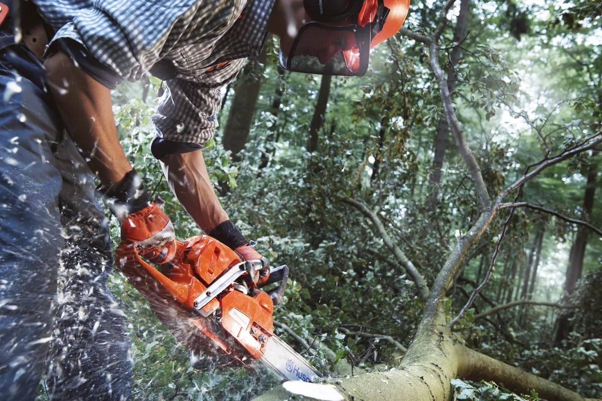 HUSQVARNA 555 - skats 2