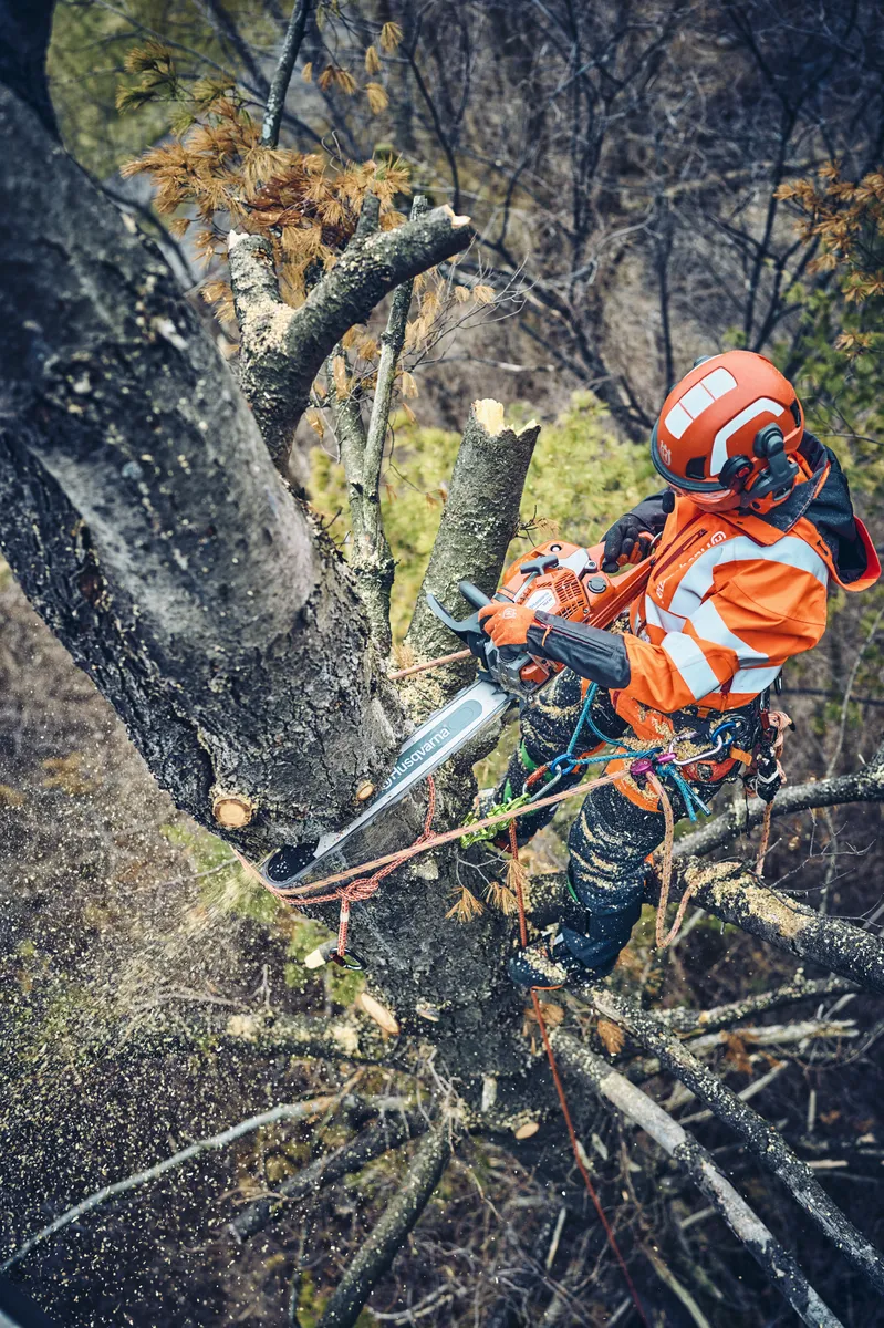 HUSQVARNA 560 XP® G Mark II - skats 2