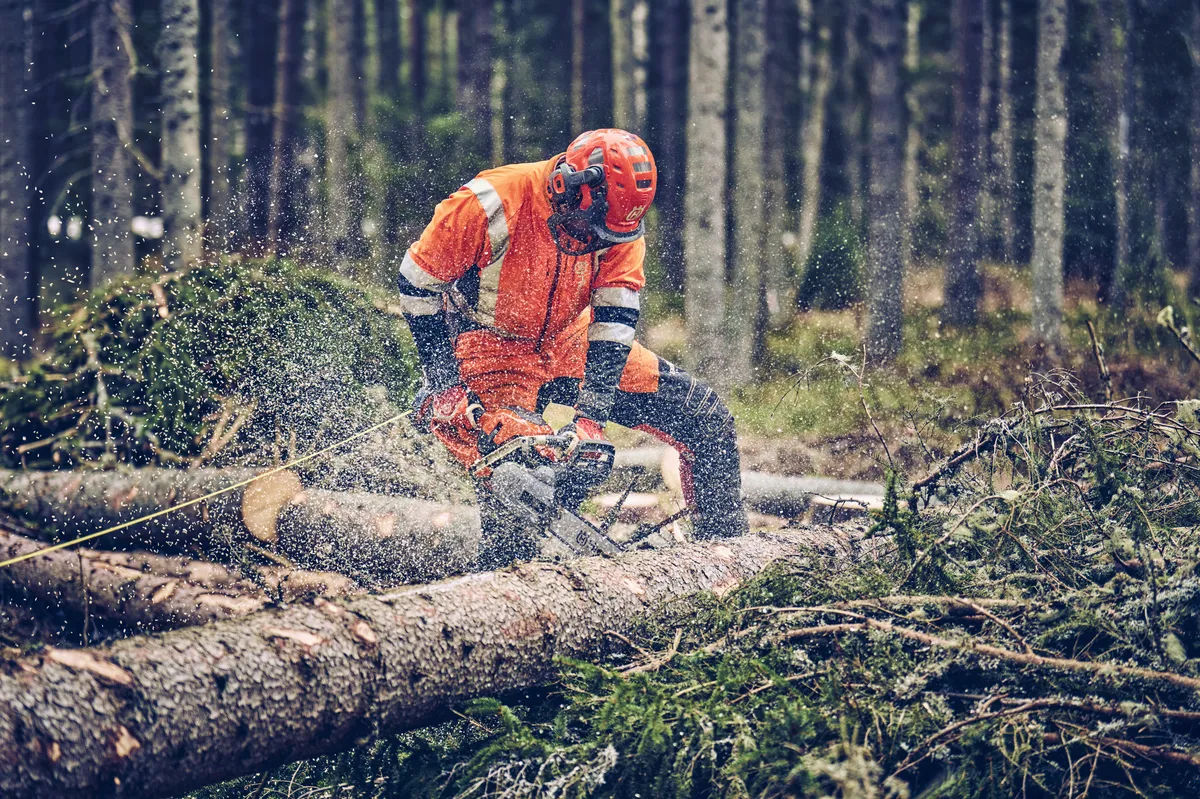 HUSQVARNA 560 XP® Mark II - skats 4