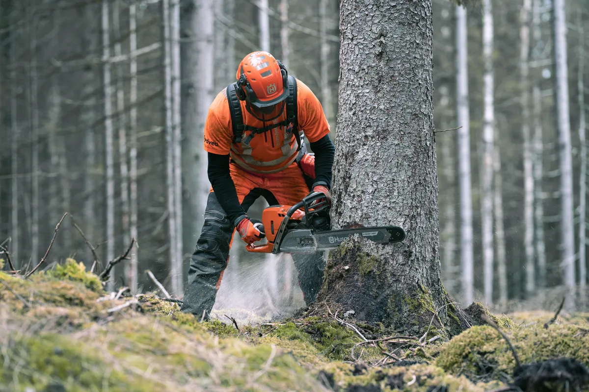HUSQVARNA 572 XP® G - skats 2