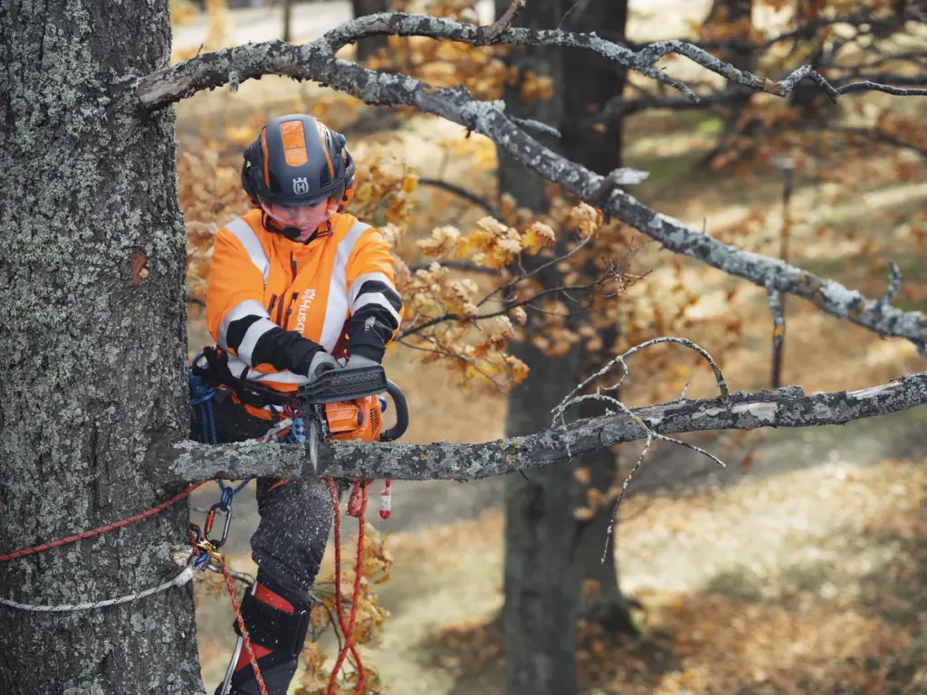 HUSQVARNA T435 - skats 2