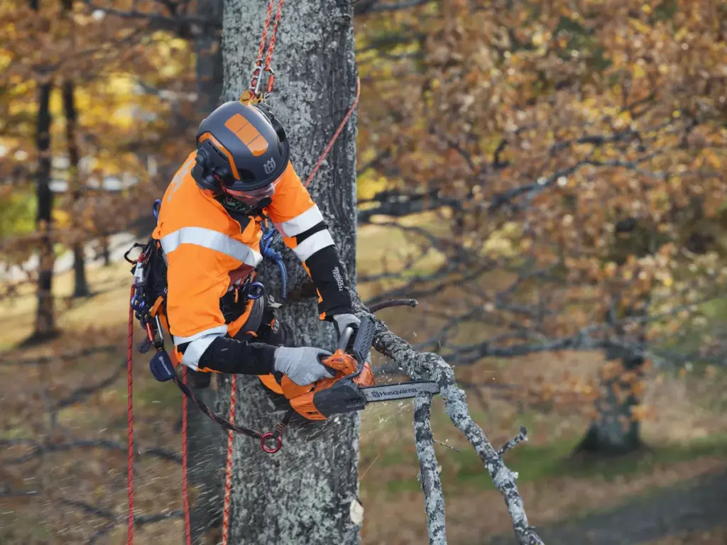 HUSQVARNA T525 - skats 3