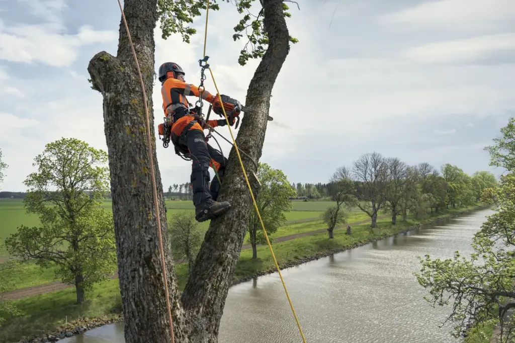 HUSQVARNA T540 XP® Mark III - skats 2