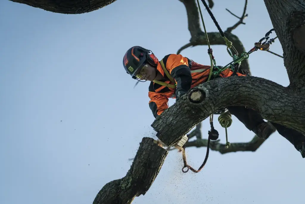 HUSQVARNA T540i XP® - skats 4